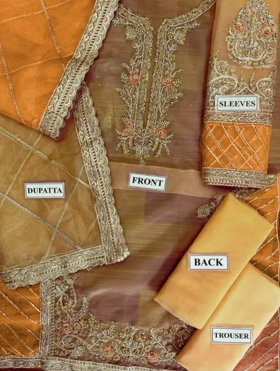 SARA ROHAIL ASGHAR Organza Suit 2026